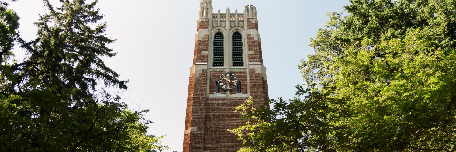 MSU banner