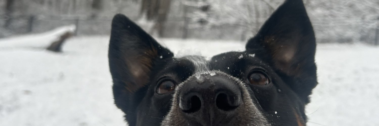 christineericax's profile banner image