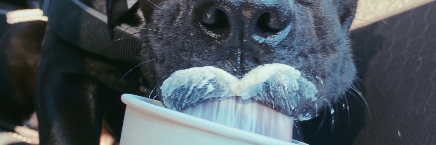 xmadi_'s profile banner image
