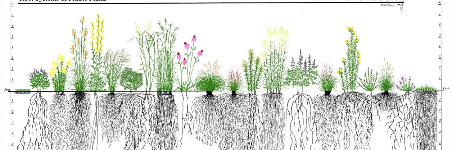 Teresa Dzieglewicz banner