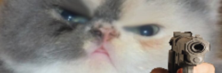 CRISterical's profile banner image