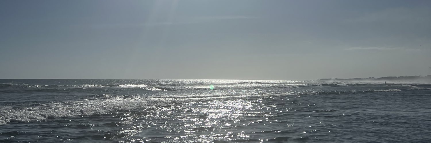 febigigigeligi's profile banner image