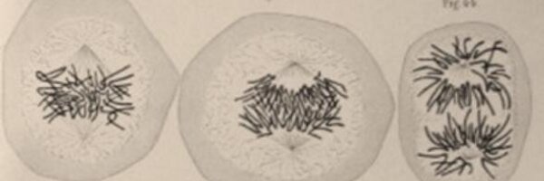 mm5200 Profile Banner