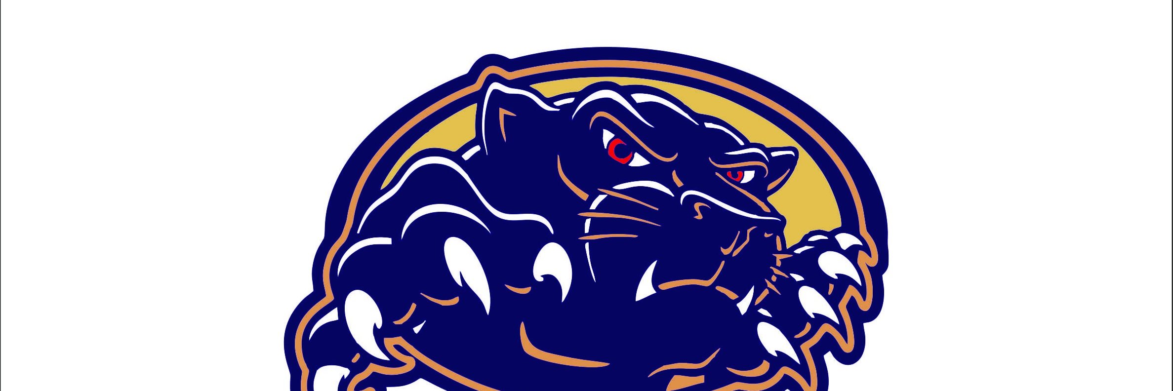 US_Panthers's profile banner image