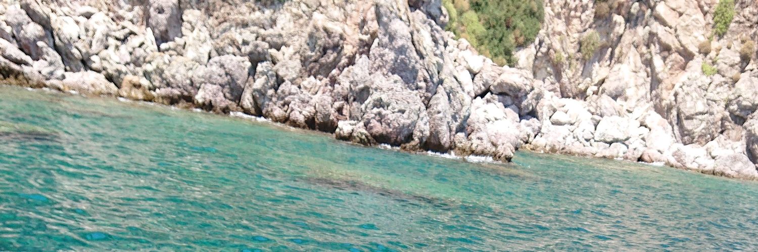 C904591's profile banner image