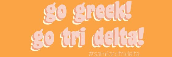 Samford Tri Delta banner