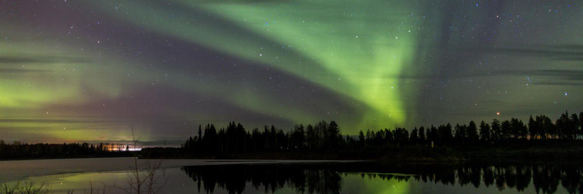 mivyoo's profile banner image