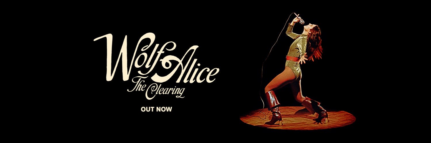 Wolf Alice banner