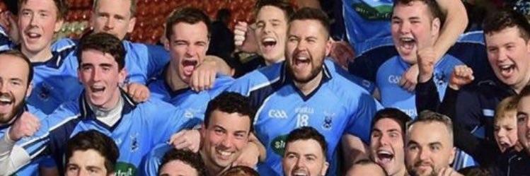 Michael Hamill banner