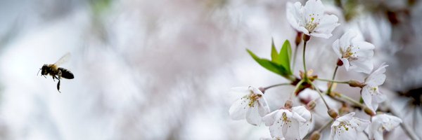 LoudounNow Profile Banner