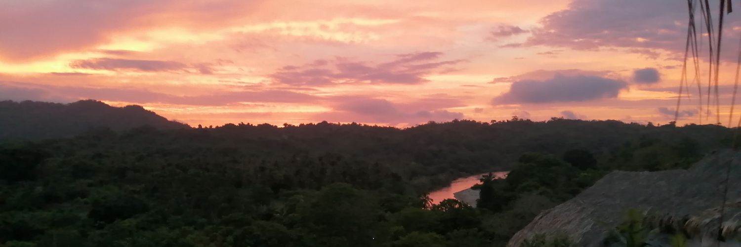 NicoMontealegre's profile banner image