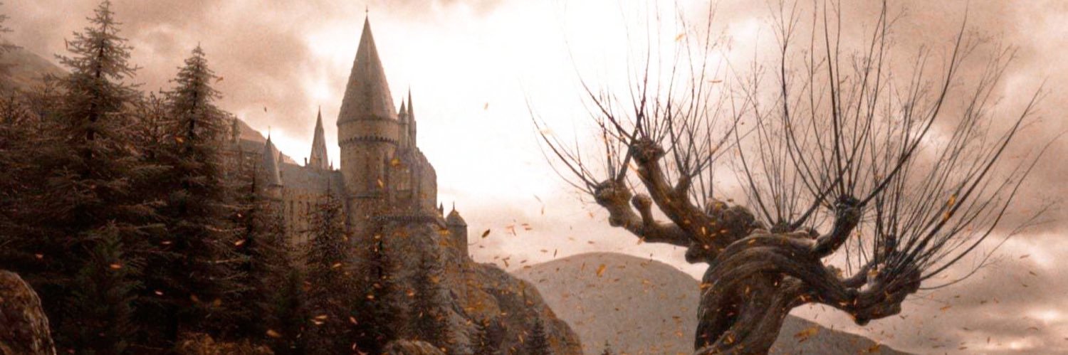 belendiaz77's profile banner image