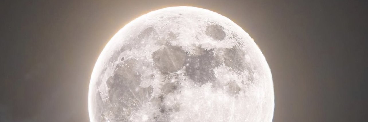 youngcoco__'s profile banner image