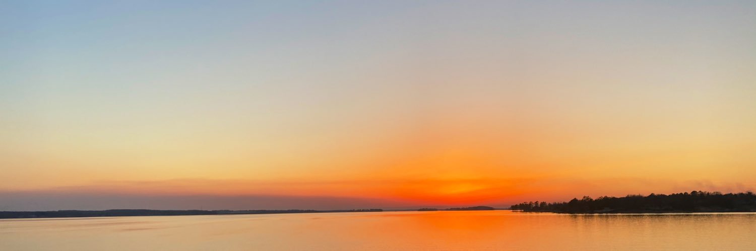 lizashnix's profile banner image
