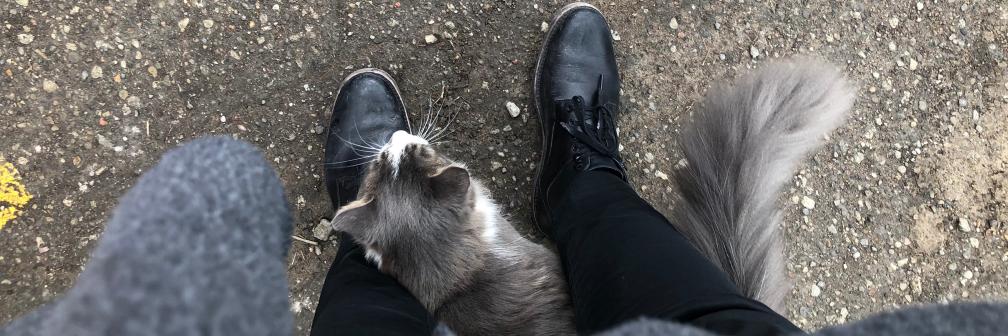 Stefan Novakovic banner