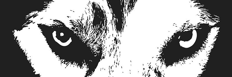 Roskilde73's profile banner image