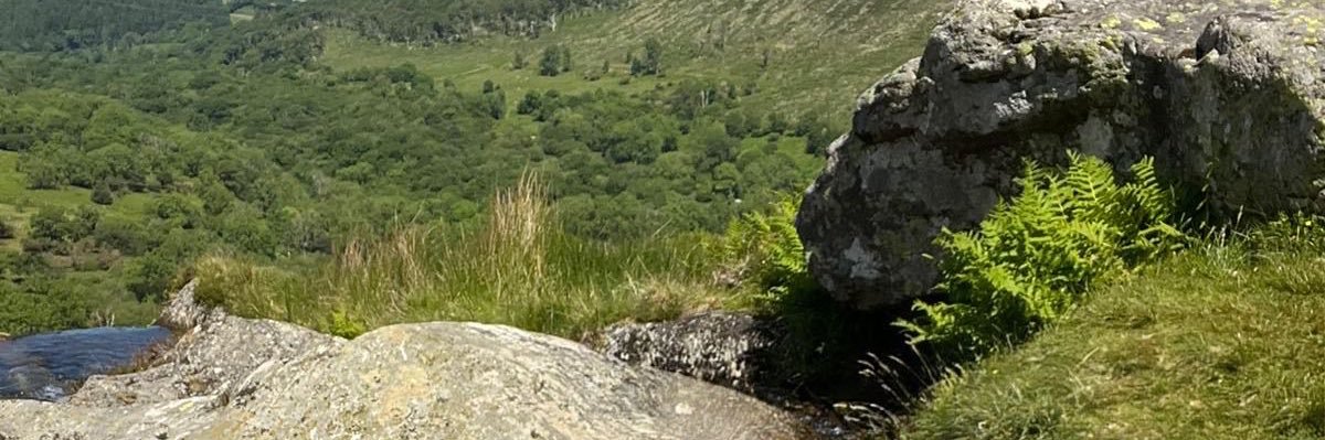 jf_anderson's profile banner image
