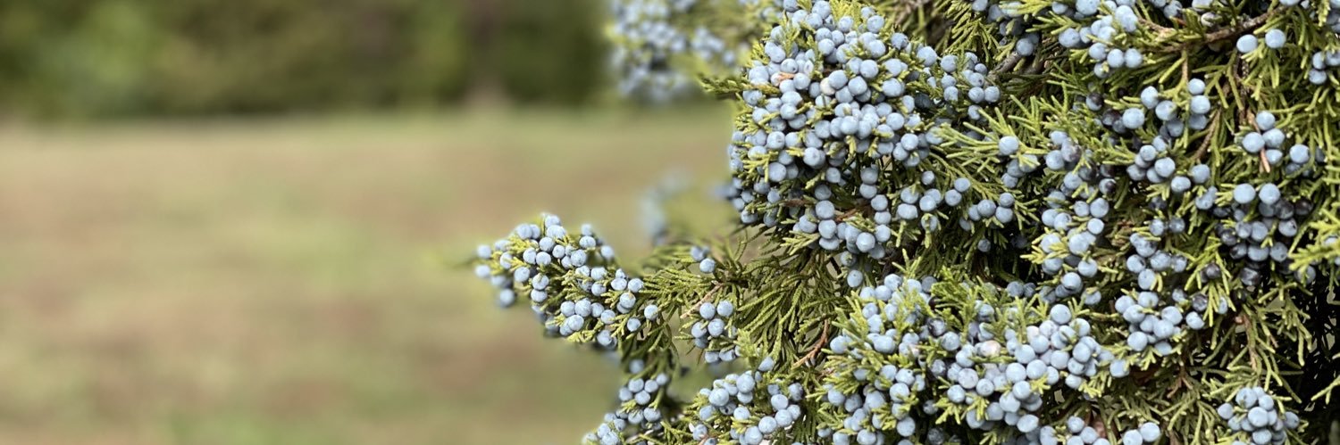 LexiHanson_24's profile banner image