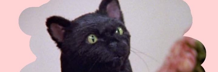 SillerAngie's profile banner image