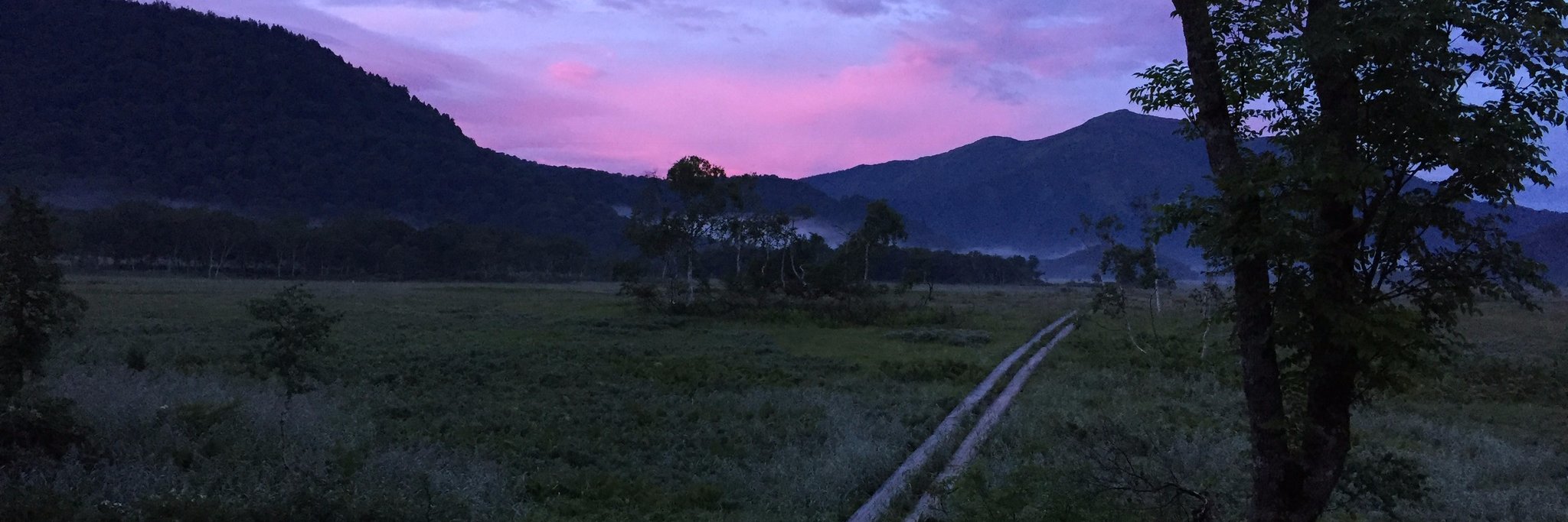 かとうだい banner