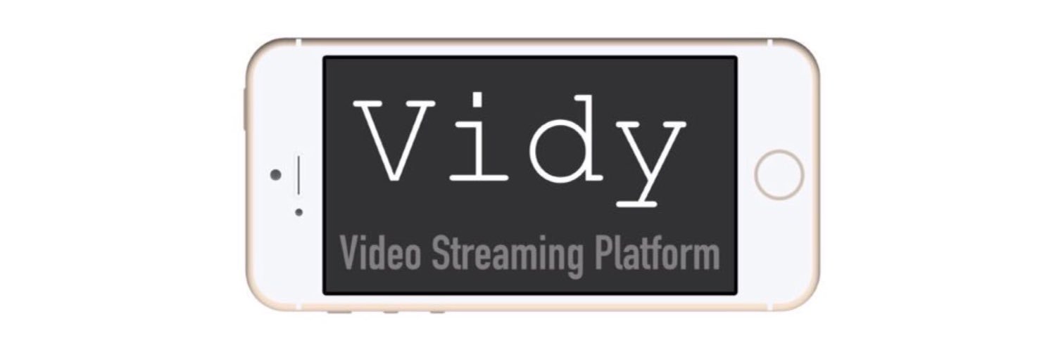 Vidy banner