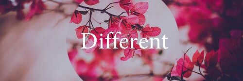 Laura_Barth_'s profile banner image