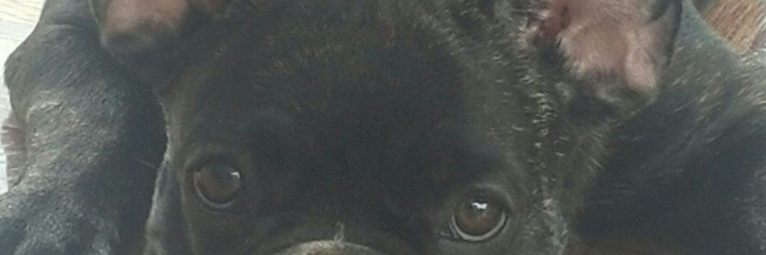 Apache Reyes banner