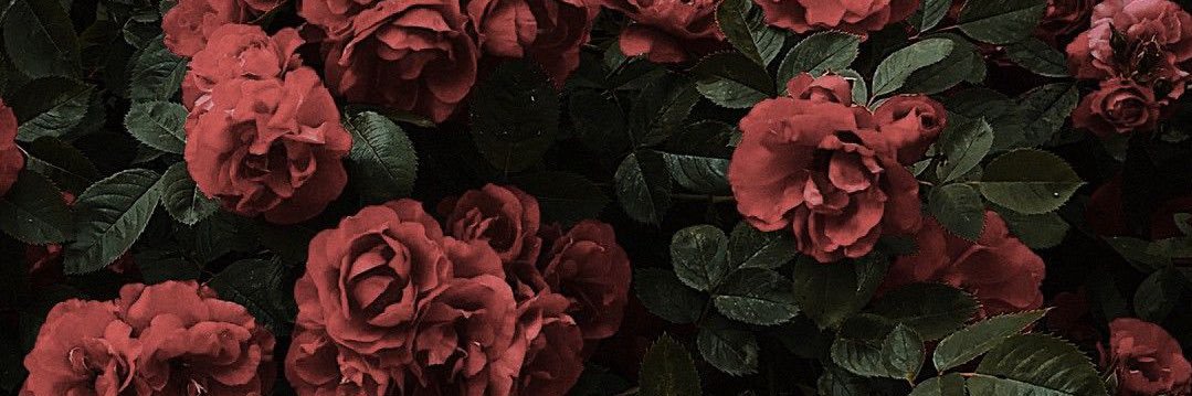 lashondalove_'s profile banner image