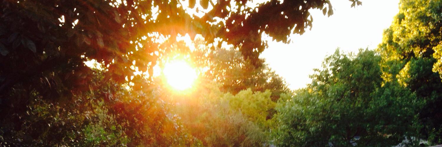 enance37's profile banner image