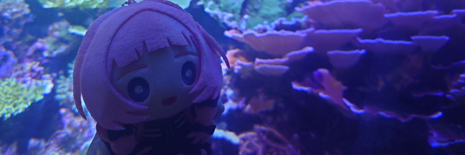 kaffy_CAT's profile banner image