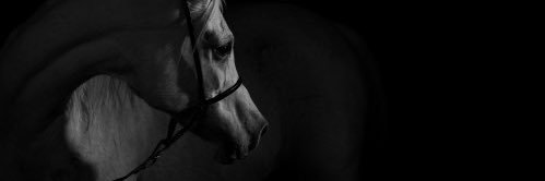 sami_5o3's profile banner image