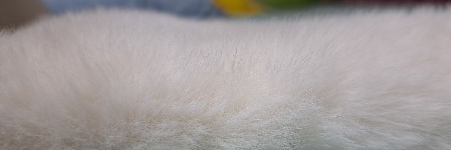hir___315's profile banner image