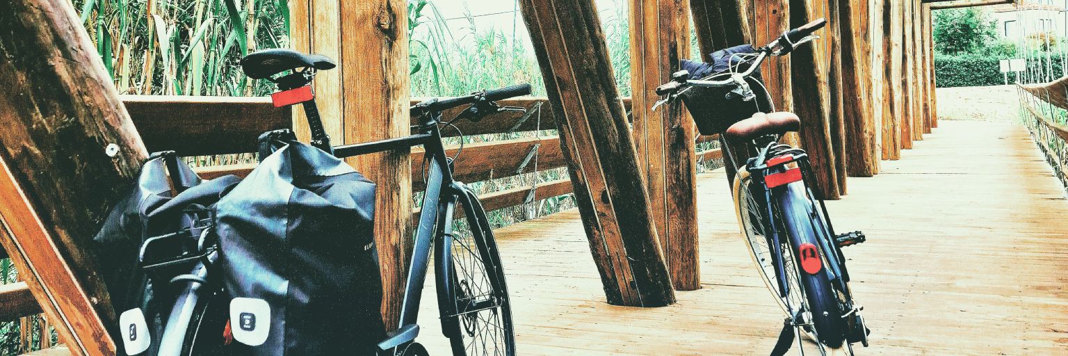 Rlsm88's profile banner image