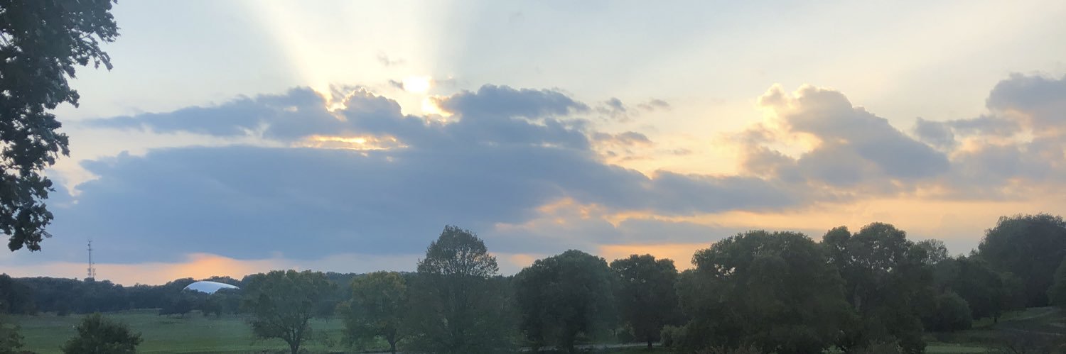 evelynedwards28's profile banner image