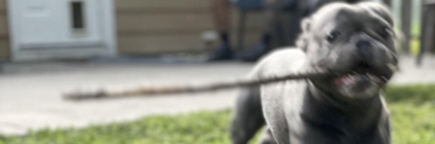 _jaredday's profile banner image