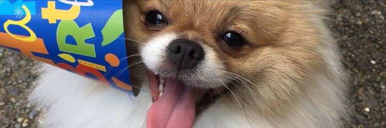 b_scott28's profile banner image