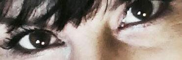 Sara Tassan banner
