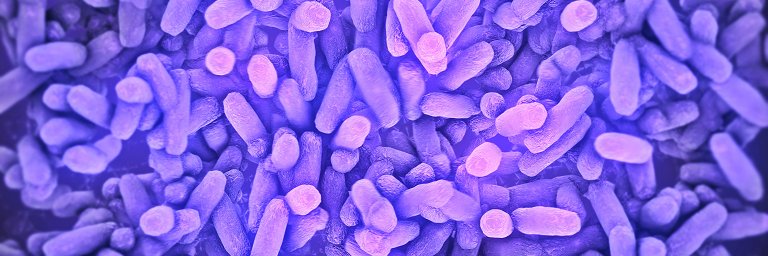 BiologInc's profile banner image