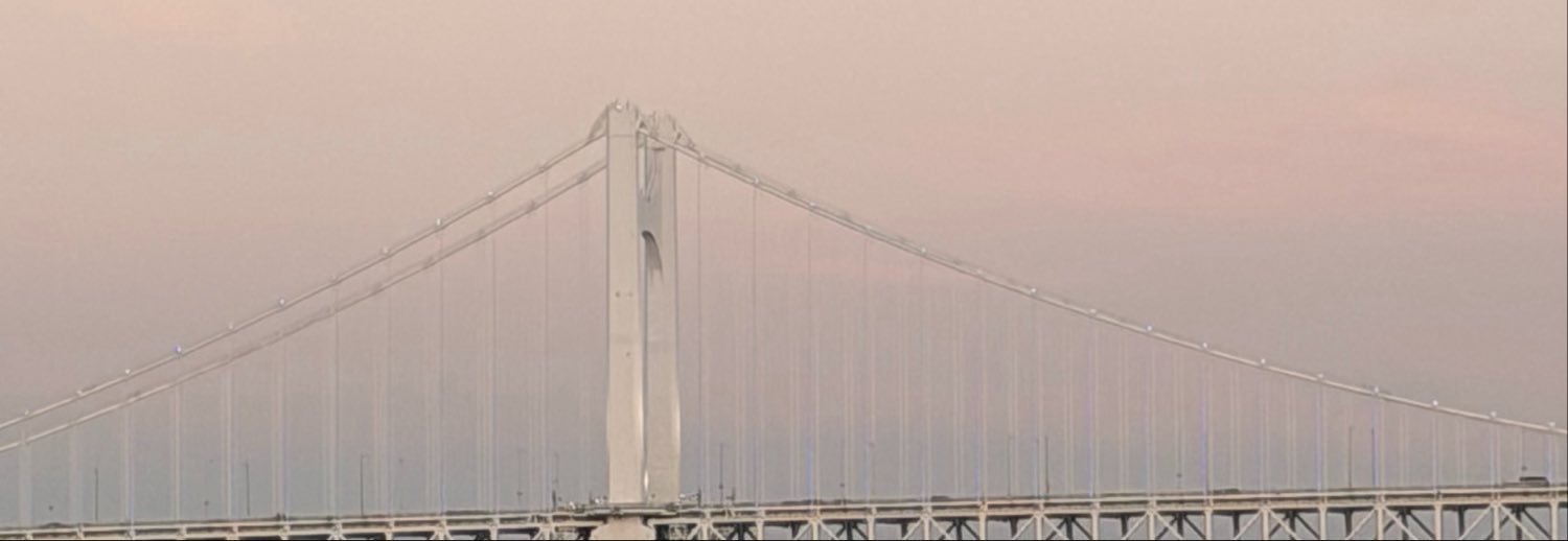 BarBeerry's profile banner image