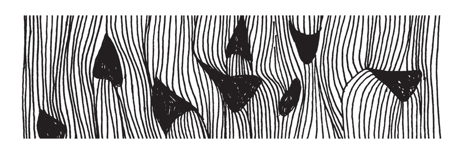 onursal banner