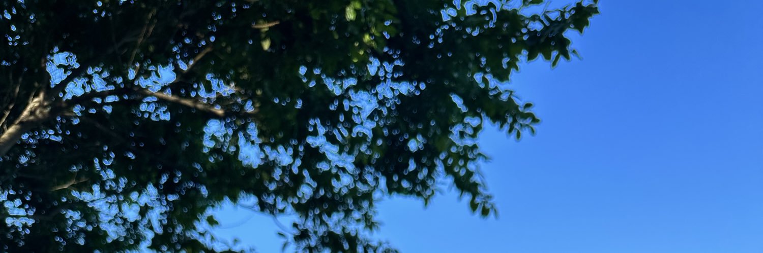 brocovich's profile banner image