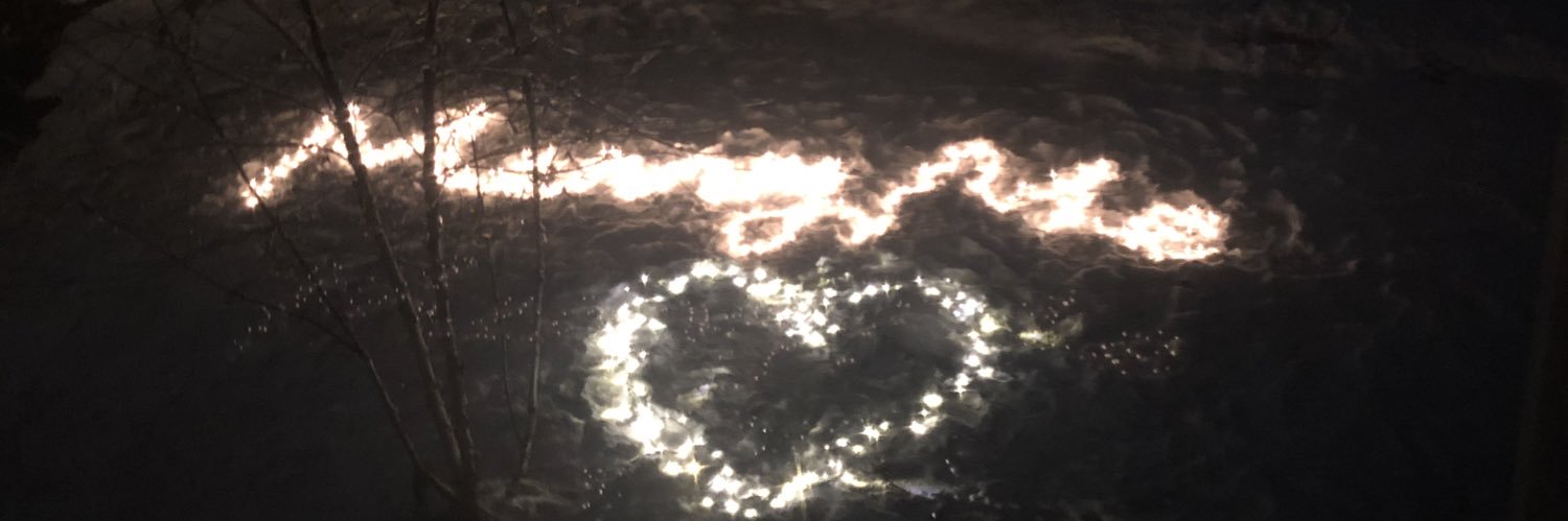 shammmiee's profile banner image