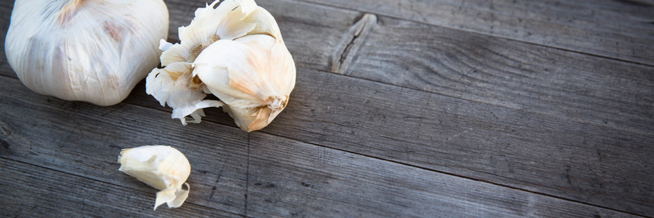 Excessive Sayings banner