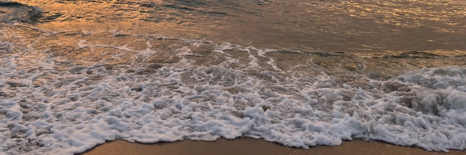 cameronnelisee's profile banner image