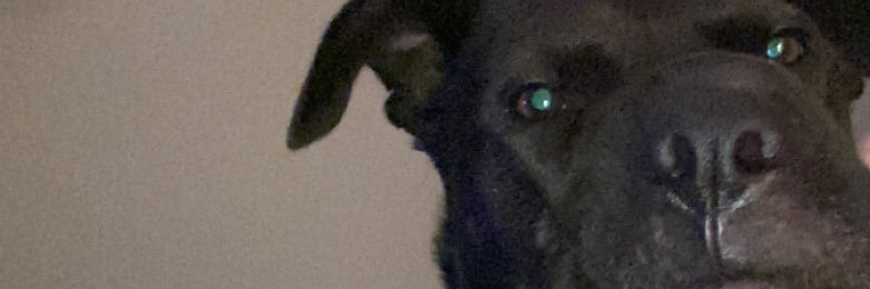 kaydent26's profile banner image