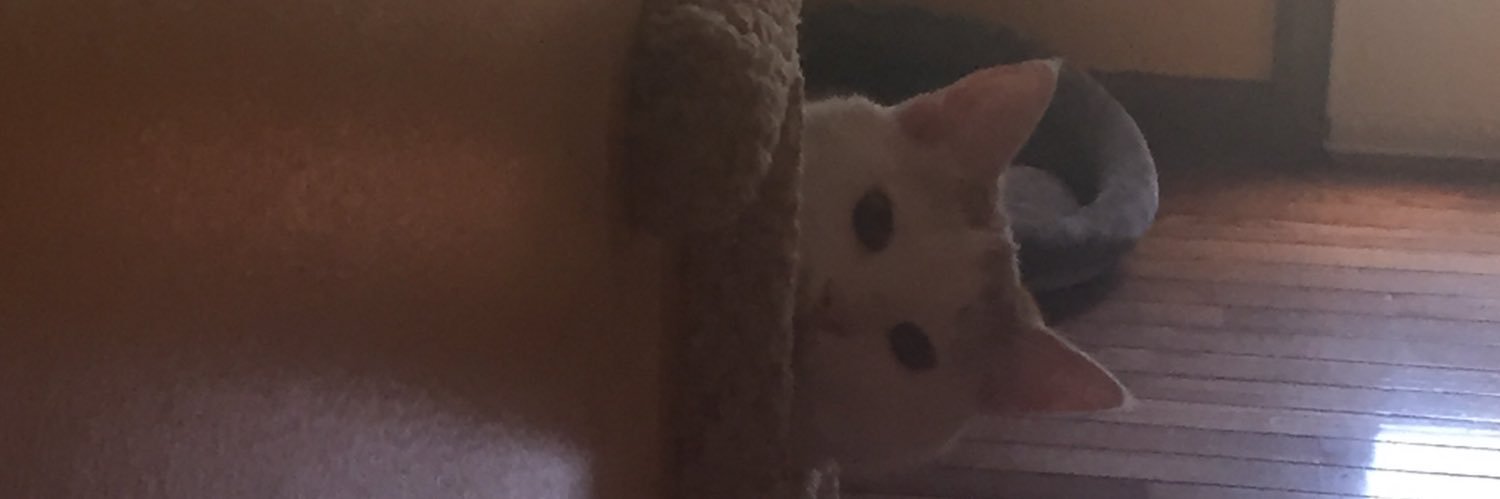 APalm_'s profile banner image