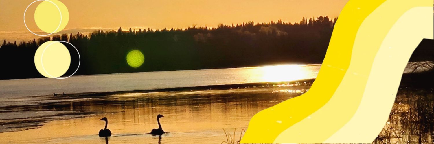 annarynx's profile banner image