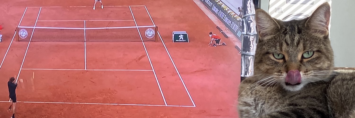 TennisD3b's profile banner image