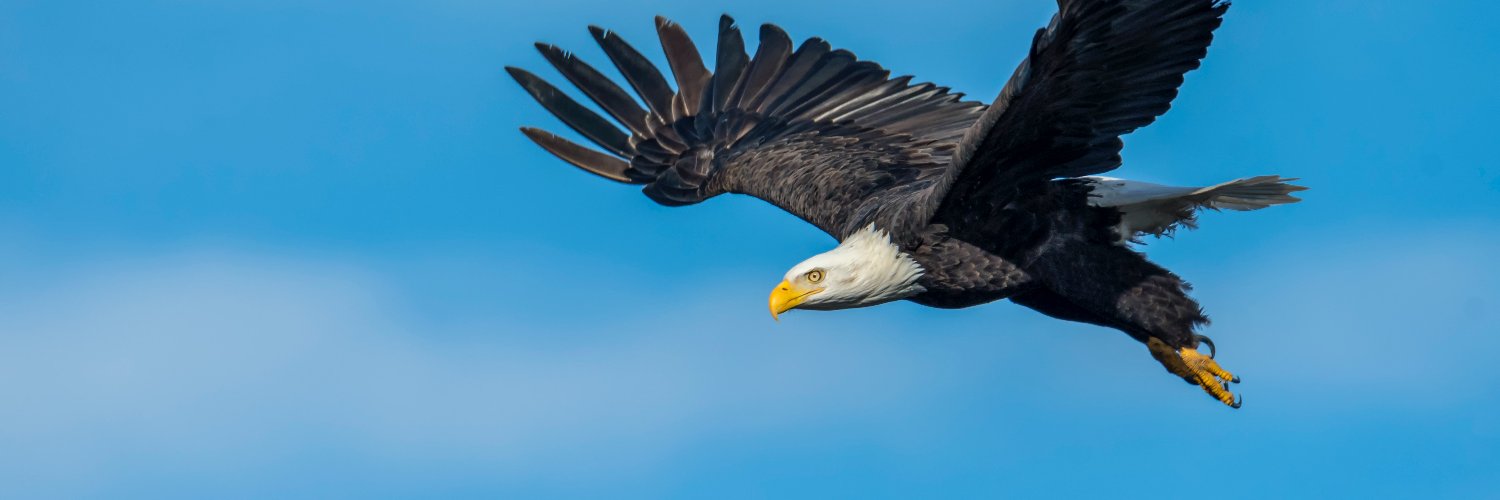 TrueRainTax's profile banner image