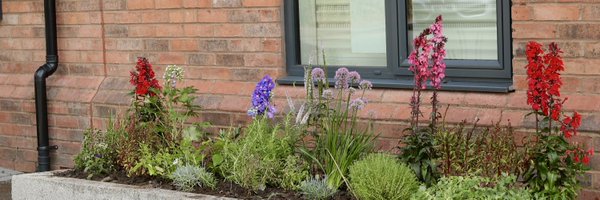 aeinbloom Profile Banner